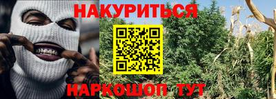 прущие крисы Заводоуковск