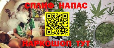 мдпв Жуковский
