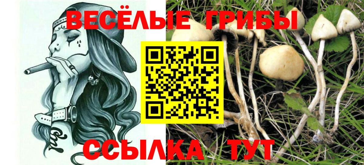 Галлюциногенные грибы Cubensis  Вход с VPN  Псилоцибиновые грибы Psilocybe  Ликино-Дулёво 